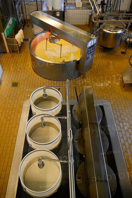 Large cheese maker and press moulds