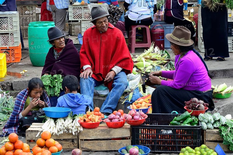 Sales stand with vegetables at the weekly market market