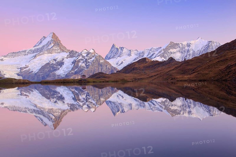 Swiss Alps