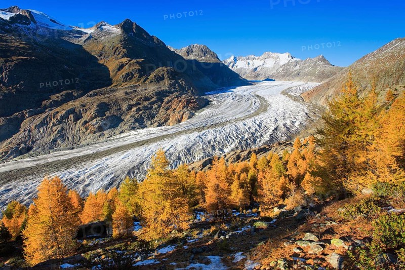 Great Aletsch Glacier and Wannenhorns