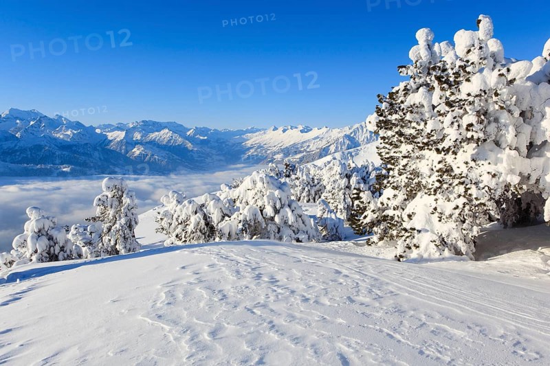 Bernese Alps