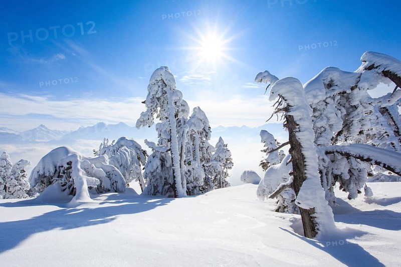 Bernese Alps