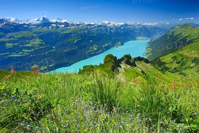 Brienzer Rothorn