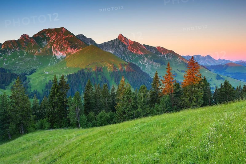 Swiss Pre-Alps at Gurnigel Pass
