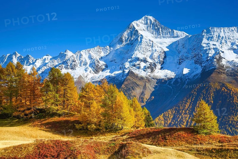 Bietschhorn