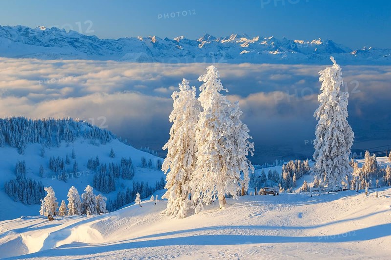 View from the Rigi