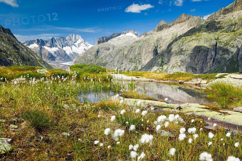 Swiss Alps in autumn