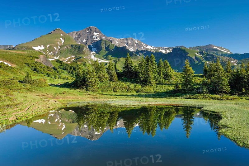 Chalberboden View of Schwarzhorn