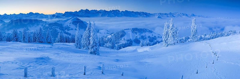 View from the Rigi