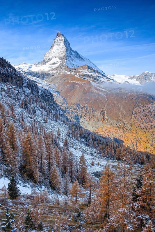 Matterhorn and larch