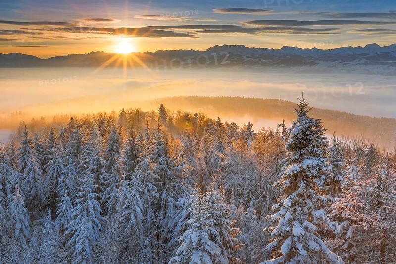 Zurich Oberland with view of Muertschenstock and Glaernisch
