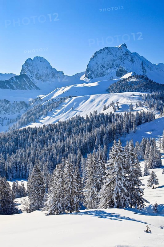 Swiss Prealps