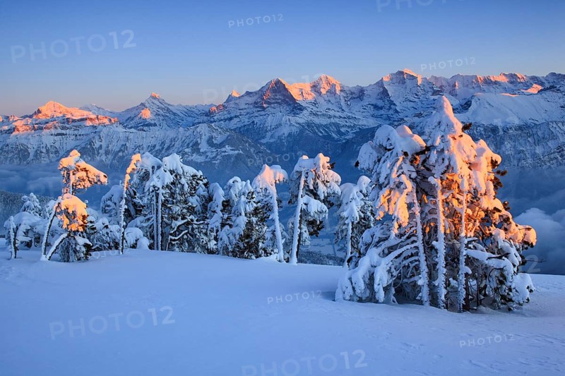 Bernese Alps