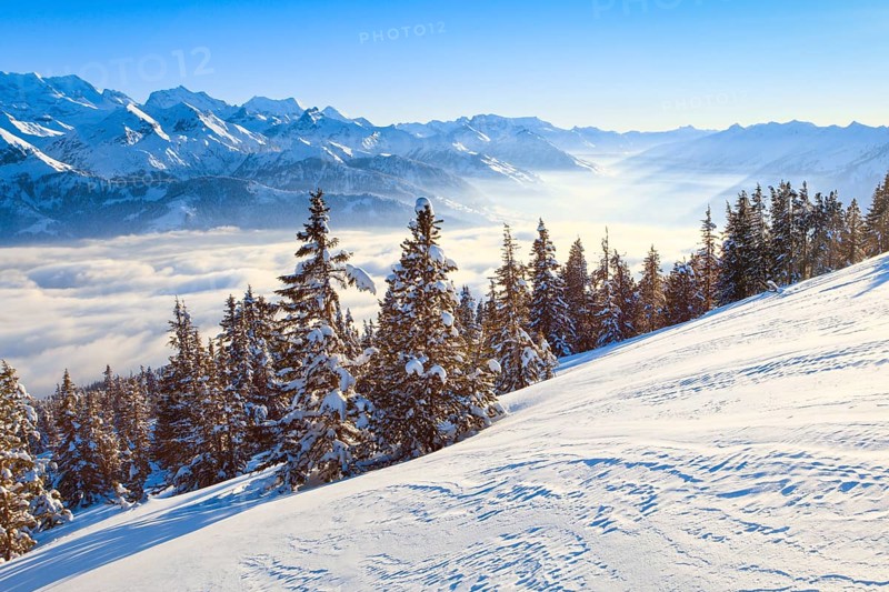 Bernese Alps