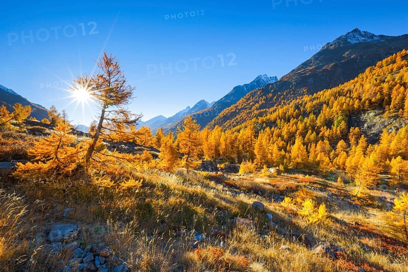 Fafleralp in the Loetschental