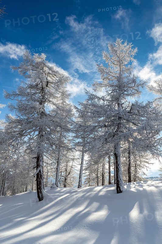 Winter landscape