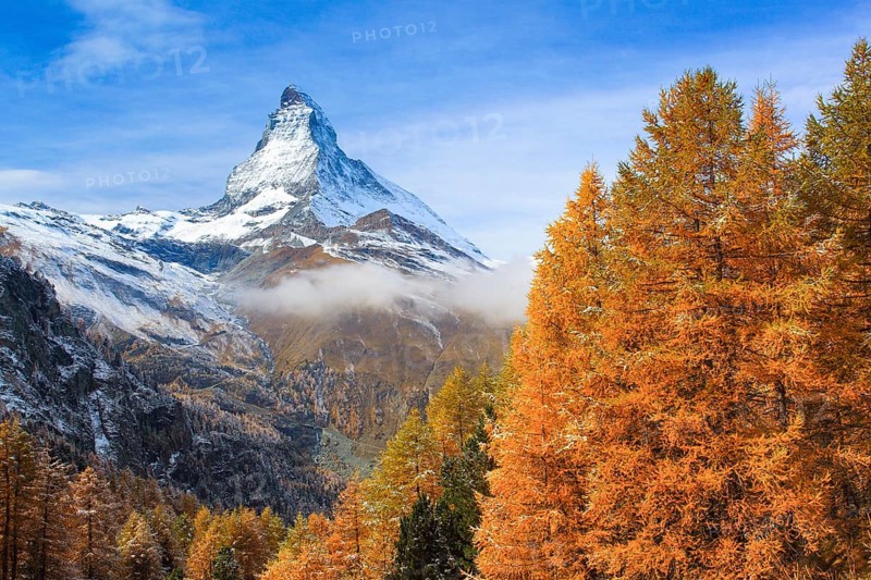 Matterhorn and larch