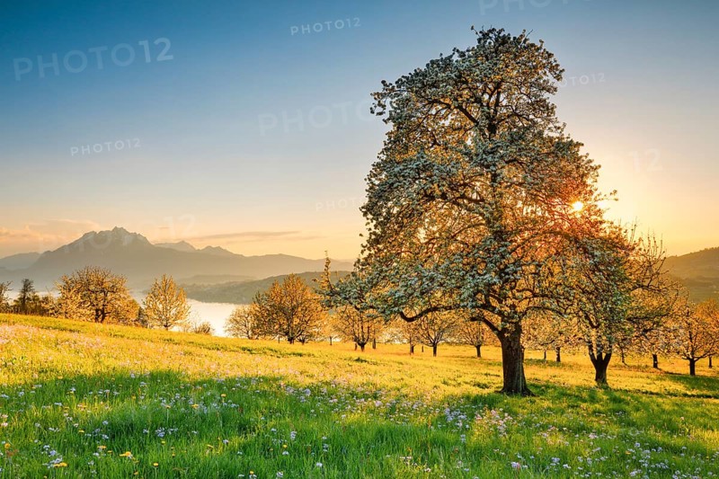 View of Pilatus and Lake Lucerne