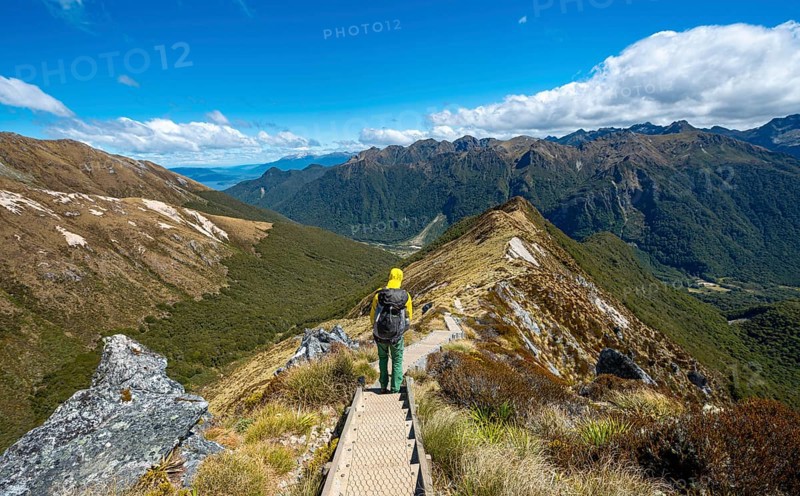 Hikers on hiking trail