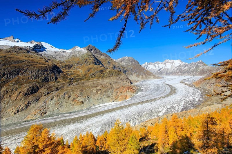 Great Aletsch Glacier and Wannenhorns