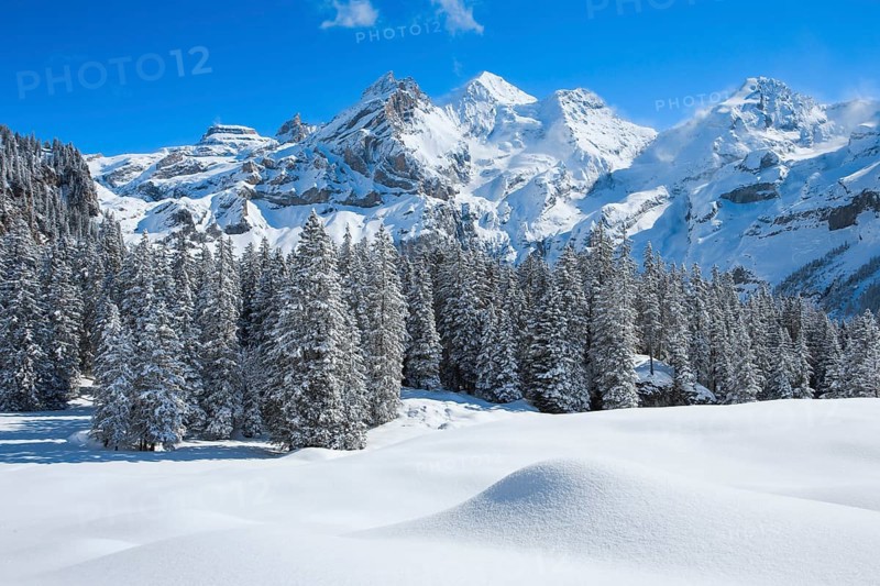 Blueemlisalp Rothorn