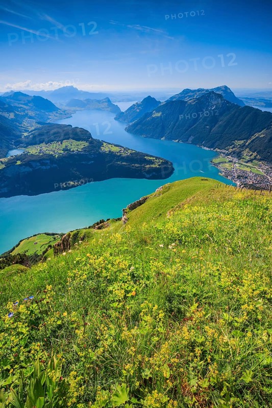 View from Fronalpstock