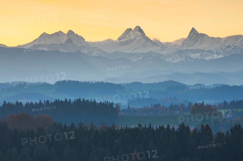 View Emmental