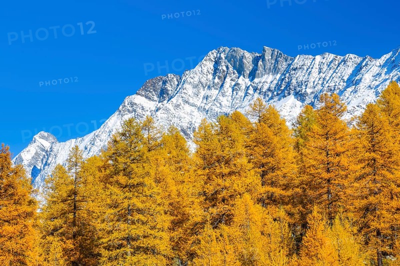 Aletschhorn and Schinhorn