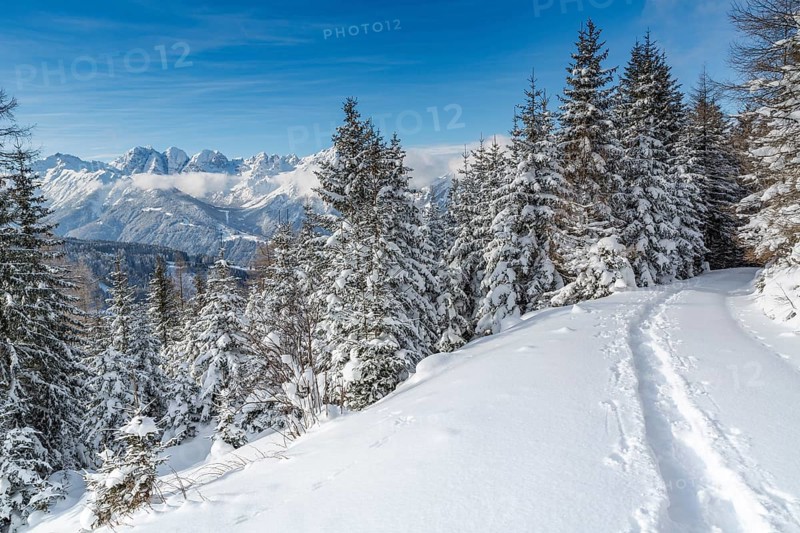 Winter landscape