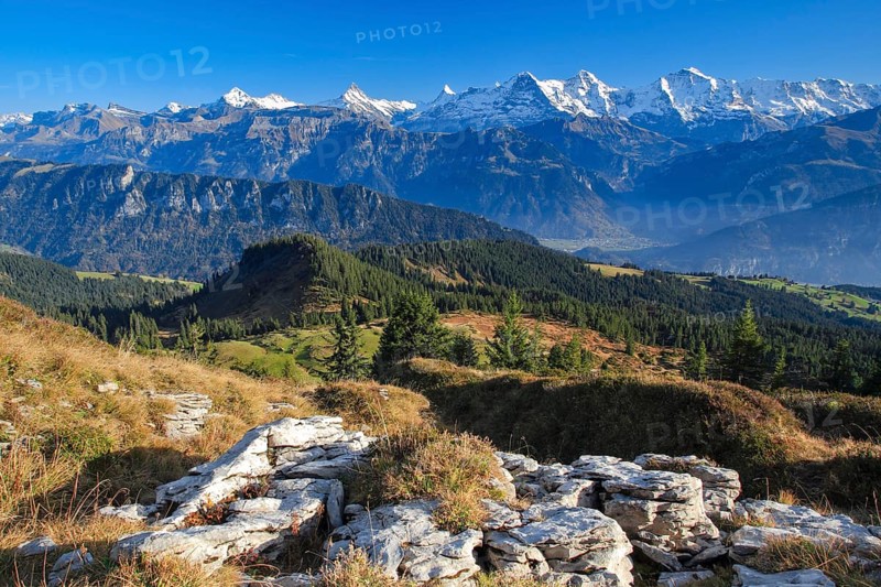 Swiss Alps