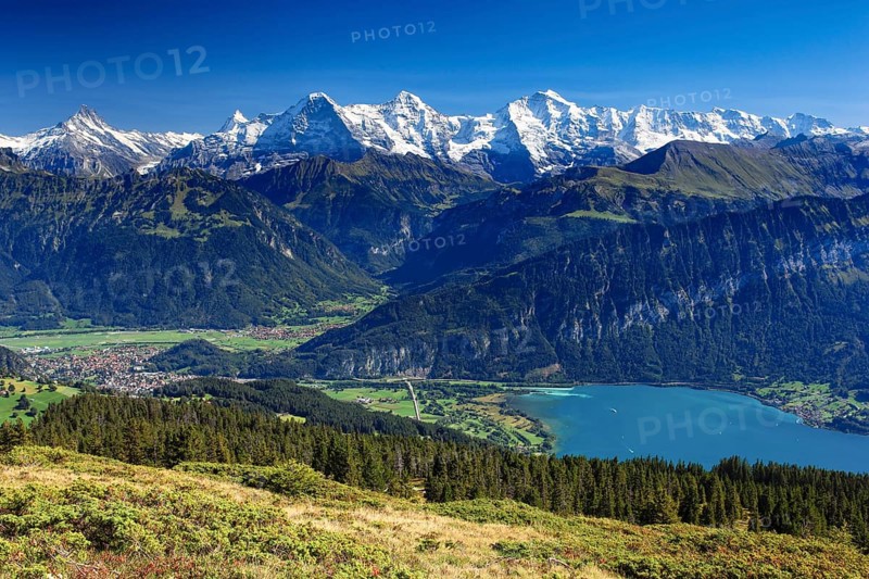 Swiss Alps