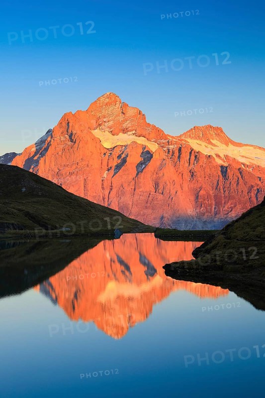 Swiss Alps