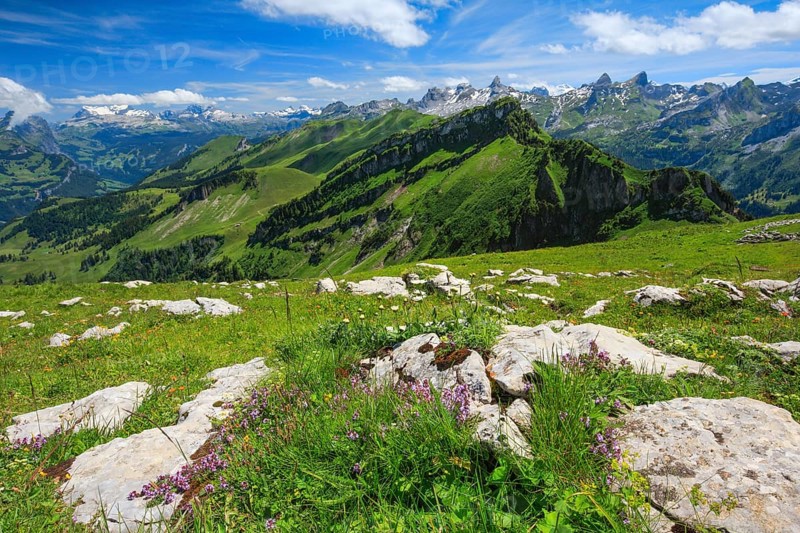 Swiss Alps with Chaiserstock