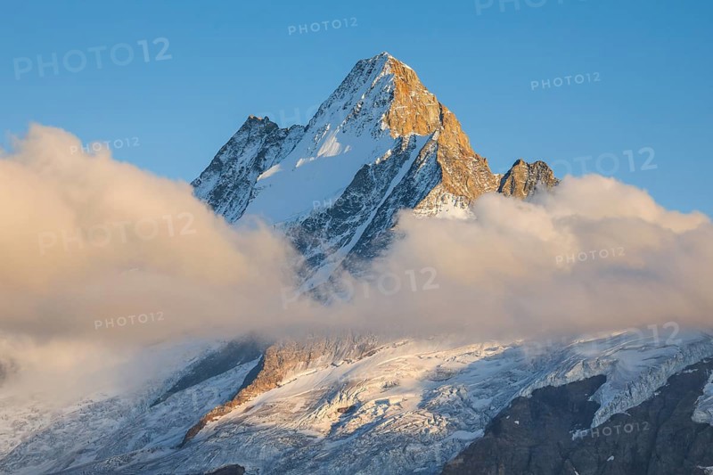 Schreckhorn