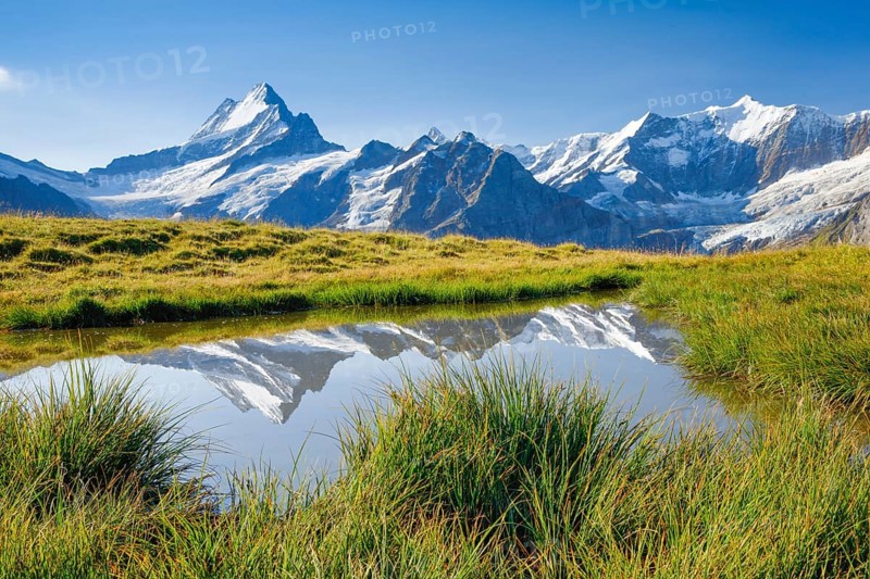 Schreckhorn