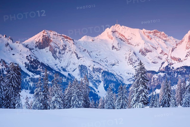 Saentis