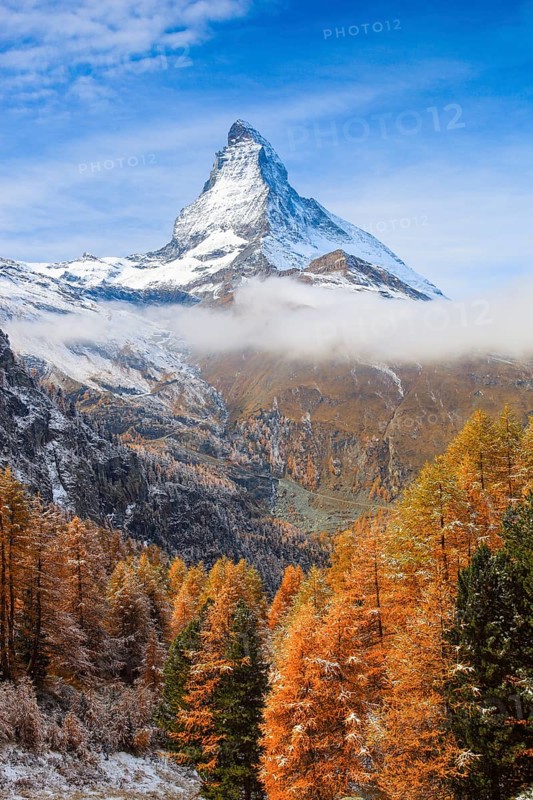 Matterhorn and larch