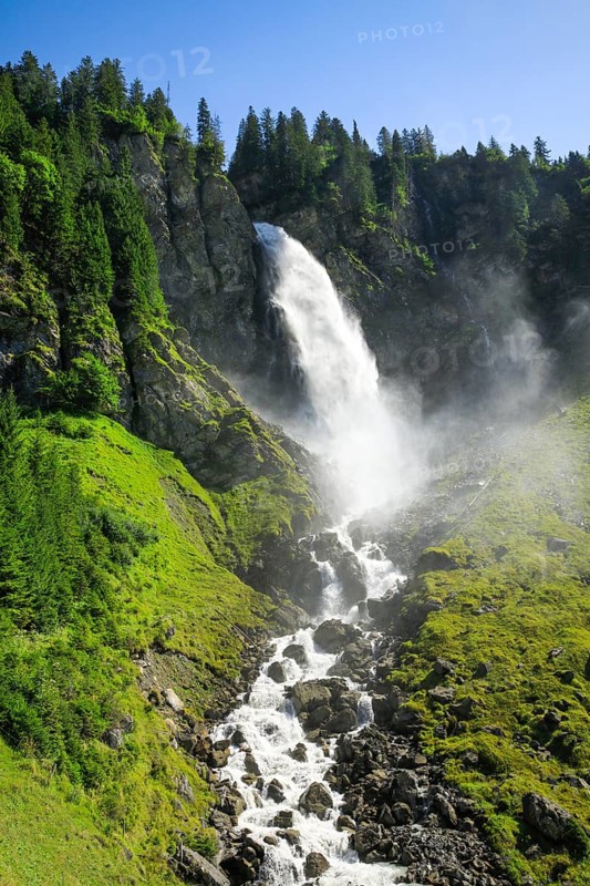 Staeubifall