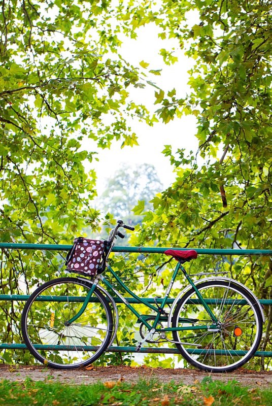 Bicycle leaning on the railing