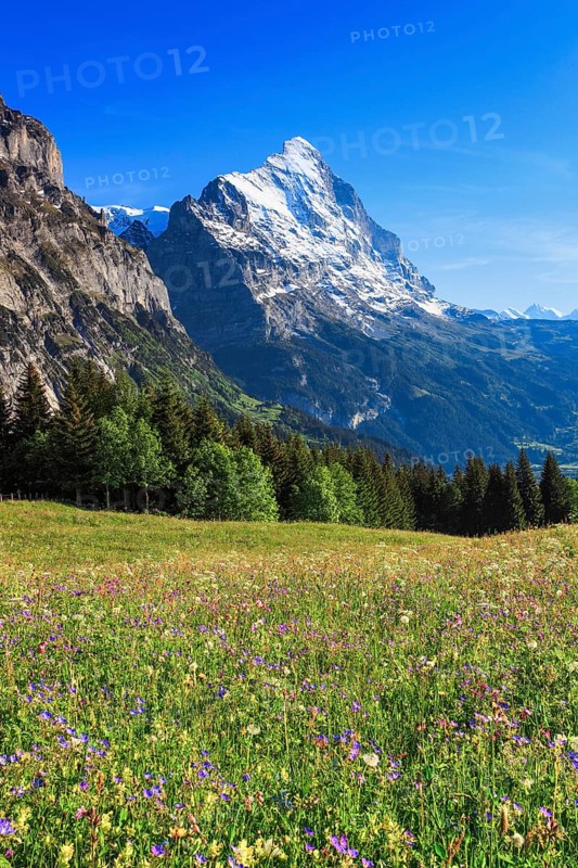 Eiger