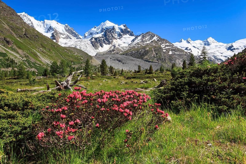 Val Roseg