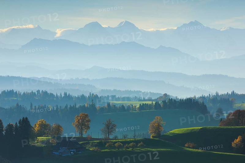 View Emmental