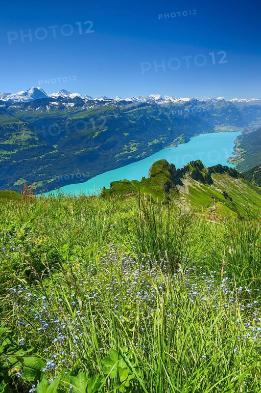 Brienzer Rothorn
