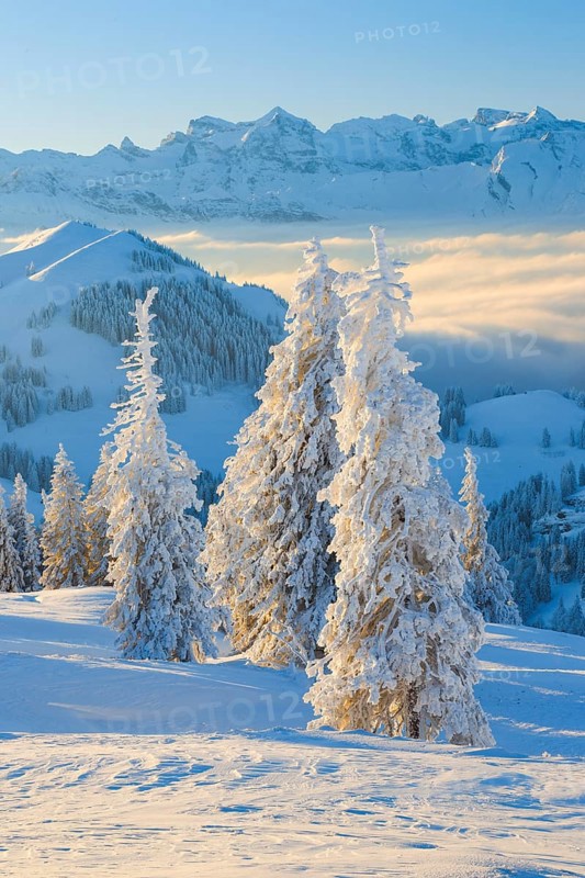 View from the Rigi