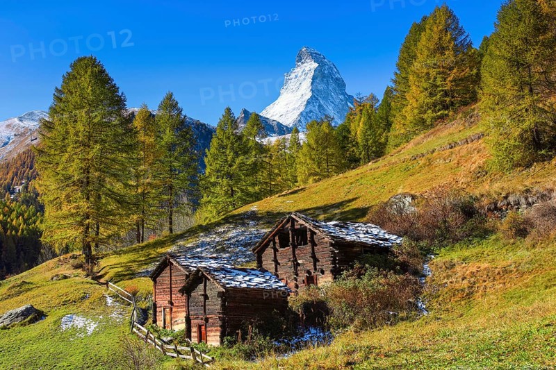 Matterhorn and larch