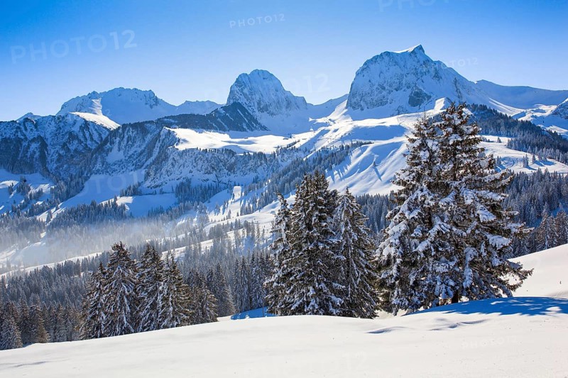 Swiss Pre-Alps