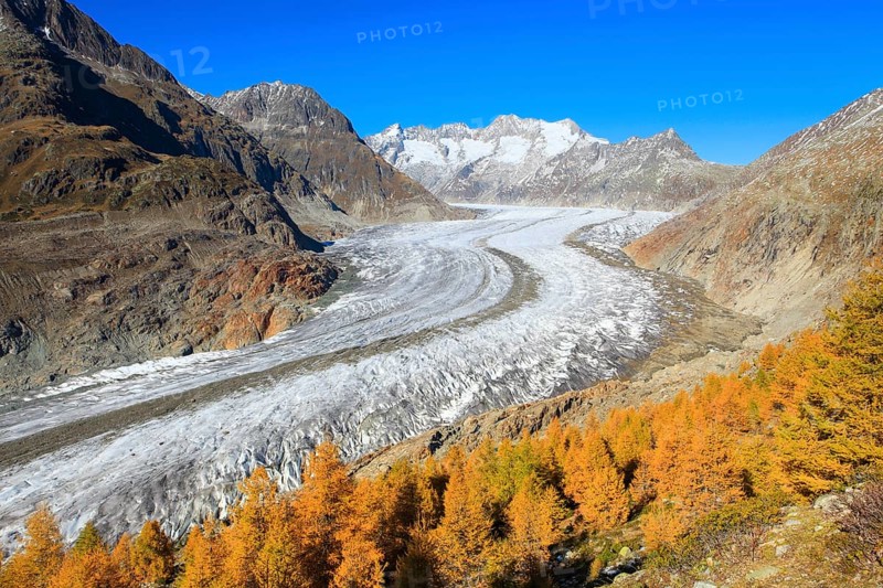 Great Aletsch Glacier and Wannenhorns