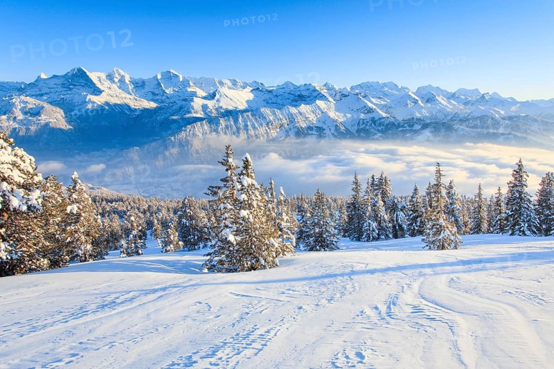 Bernese Alps