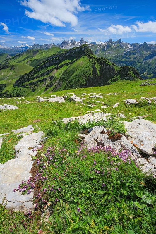 Swiss Alps with Chaiserstock