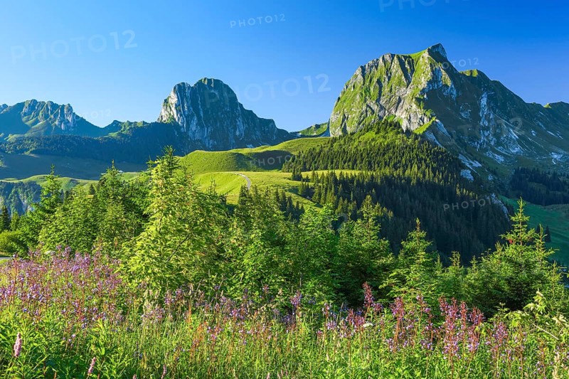Swiss Pre-Alps